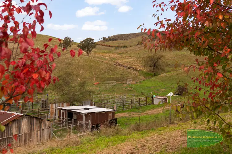 Seventh view of Homely rural property listing, 1451 Ganbenang Road, Ganbenang NSW 2790