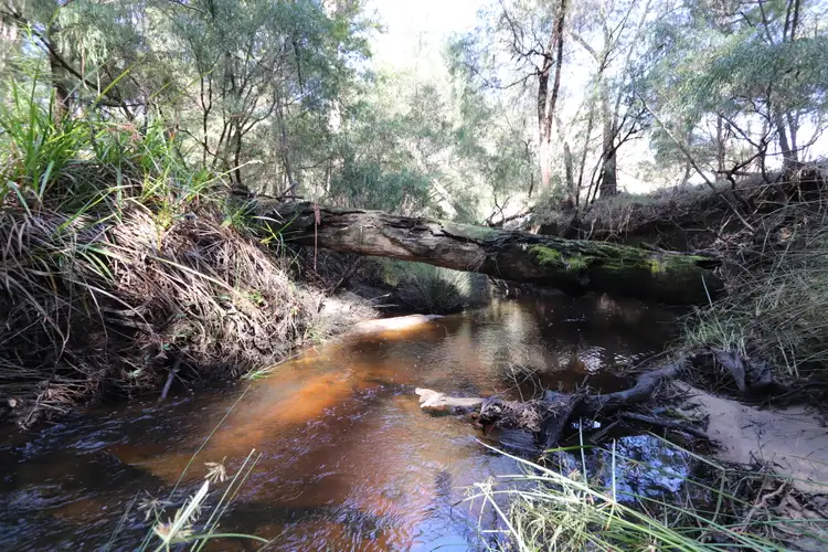 Fourth view of Homely rural property listing, 540 Scotsdale Rd, Denmark WA 6333