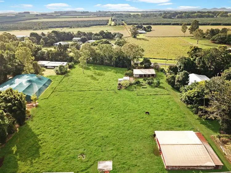 Second view of Homely rural property listing, 37 Willows Road, Tolga QLD 4882