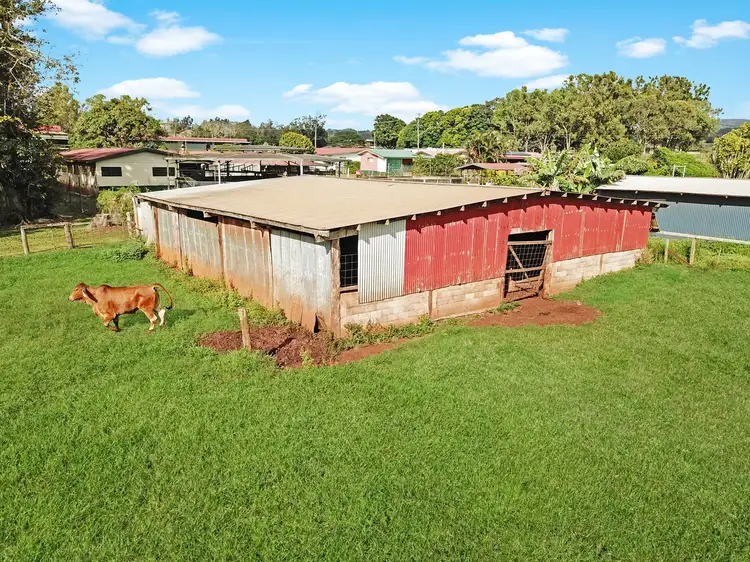 Third view of Homely rural property listing, 37 Willows Road, Tolga QLD 4882
