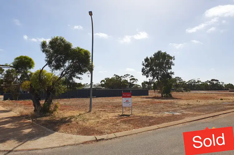 2 John Street, Perenjori WA 6620
