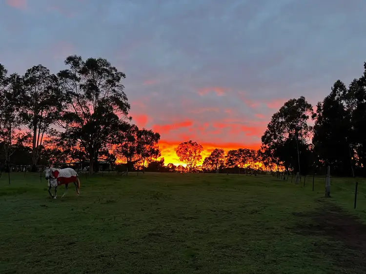 Main view of Homely rural property listing, 1461 New England Highway, Harpers Hill NSW 2321
