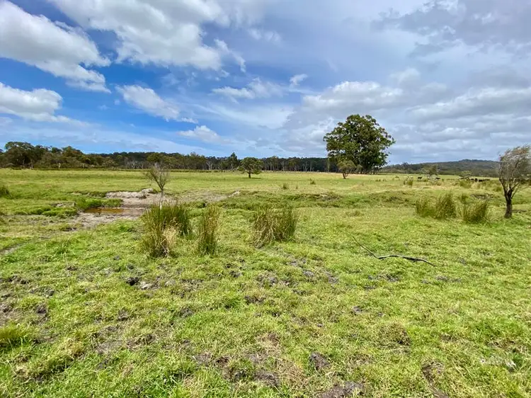 Fourth view of Homely rural property listing, 2076 Walter Pierce Road, Hazelvale WA 6333