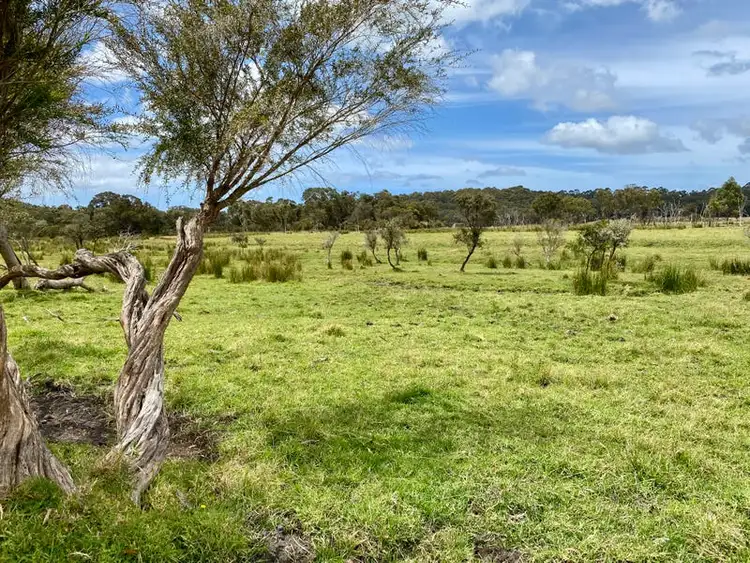 Seventh view of Homely rural property listing, 2076 Walter Pierce Road, Hazelvale WA 6333