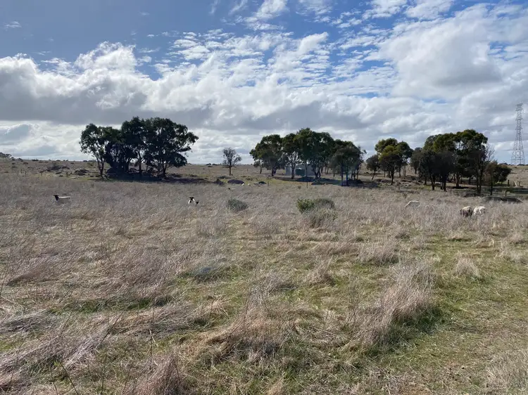 Seventh view of Homely land listing, Lot 2 Brinkworth Road, Tungkillo, SA 5236, Tungkillo SA 5236