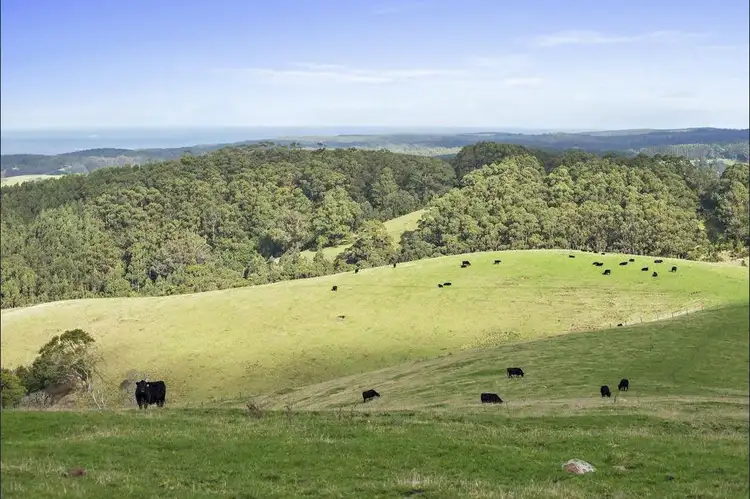 Sixth view of Homely land listing, 415 Tuxion Road, Apollo Bay VIC 3233