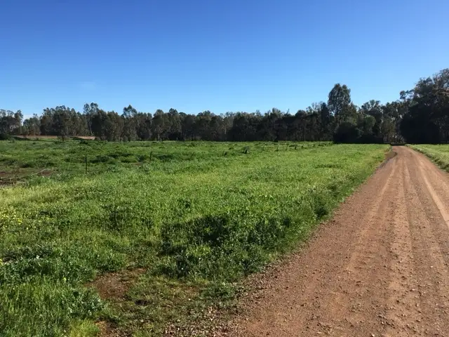 Main view of Homely land listing, 0 Mackay Street (5 ACRES), Rochester VIC 3561