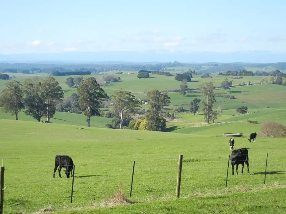 Main view of Homely rural property listing, Lardners Track, Drouin East VIC 3818