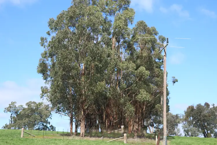 Seventh view of Homely land listing, 200 Murrindindi Road, Yea VIC 3717