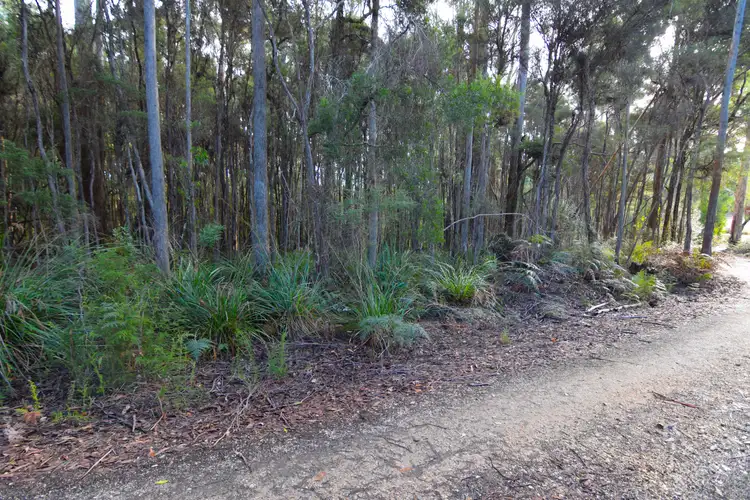 Second view of Homely land listing, 199 Pages Road, Calder TAS 7325