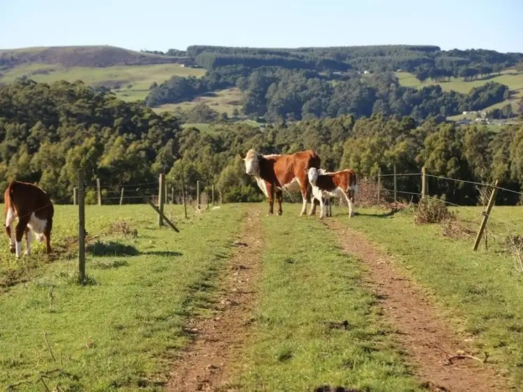 Seventh view of Homely rural property listing, 00 Trowutta Road, Scotchtown TAS 7330