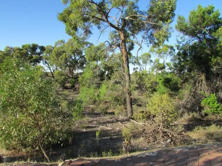 Fourth view of Homely rural property listing, 10 Pomponderoo Hill Road, Dimboola VIC 3414