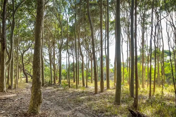 Seventh view of Homely land listing, LOT 2 Dalmeny Drive, Kianga NSW 2546