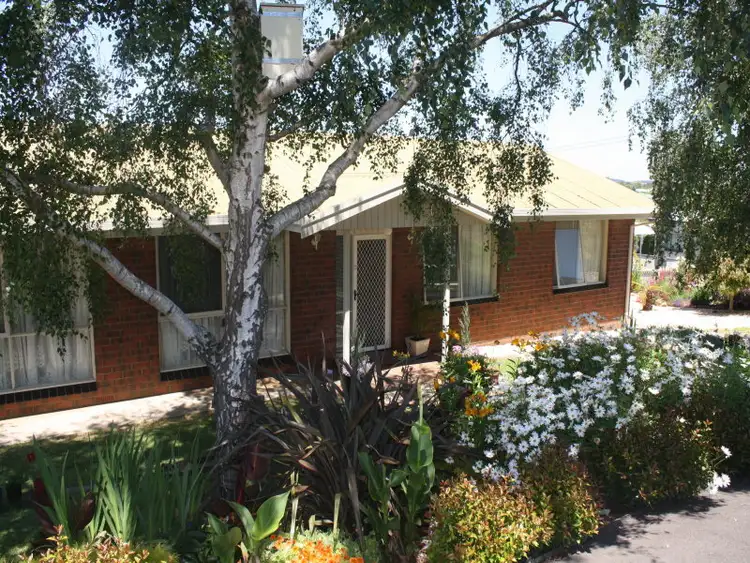 Second view of Homely house listing, 36 Acacia Street, Mount Gambier SA 5290