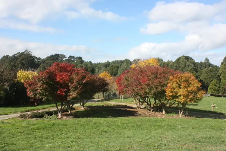 Seventh view of Homely house listing, 34 Ferndale Road, Ferndale VIC 3821