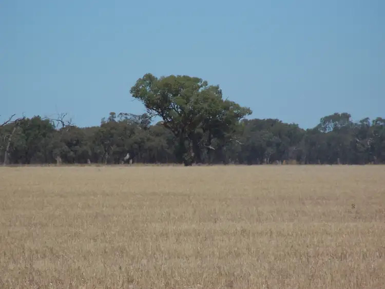 Seventh view of Homely land listing, 391 LAIRDS ROAD, Calivil VIC 3573