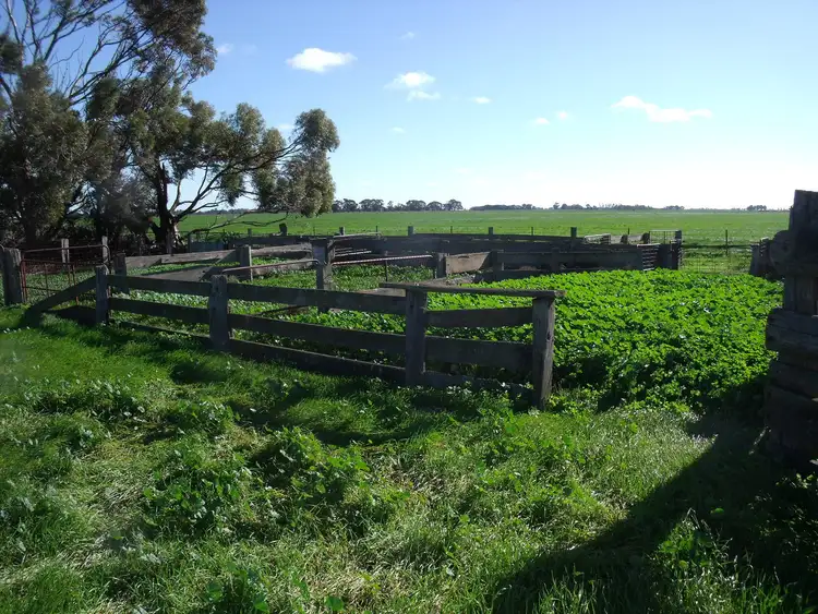 Second view of Homely land listing, 0 Pyramid - Cohuna Road, Pyramid Hill VIC 3575