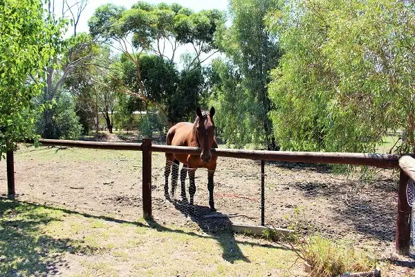 Third view of Homely rural property listing, 645 Dights Forest Road, Table Top NSW 2640