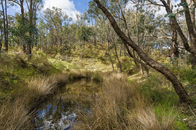 Fourth view of Homely rural property listing, 46 Miners Hut Road, Chewton Bushlands VIC 3451