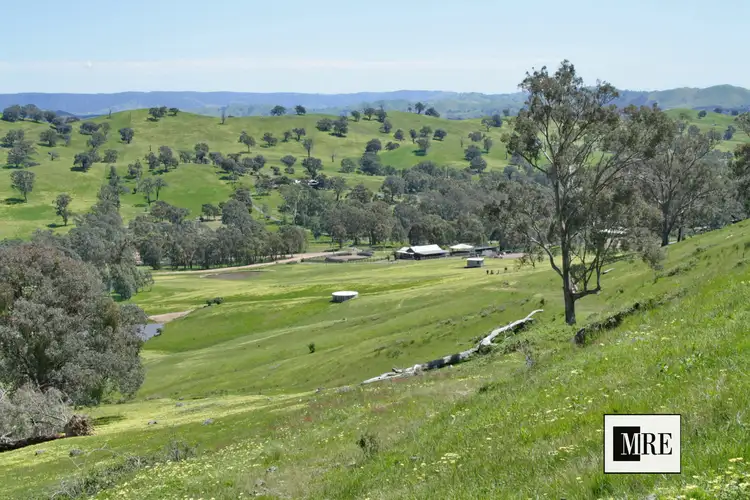 Main view of Homely house listing, 1 Old Tonga Rd, Mansfield VIC 3722