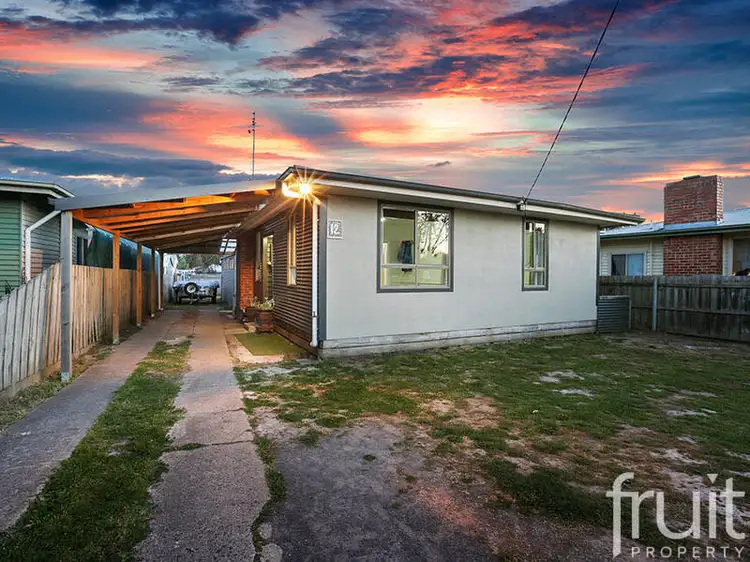 12 Warner Street, Winchelsea VIC 3241