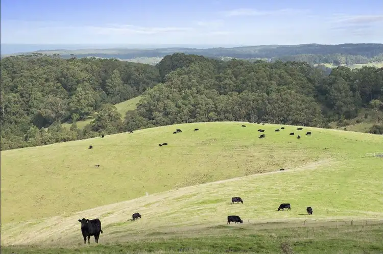 Second view of Homely land listing, 415 Tuxion Road, Apollo Bay VIC 3233