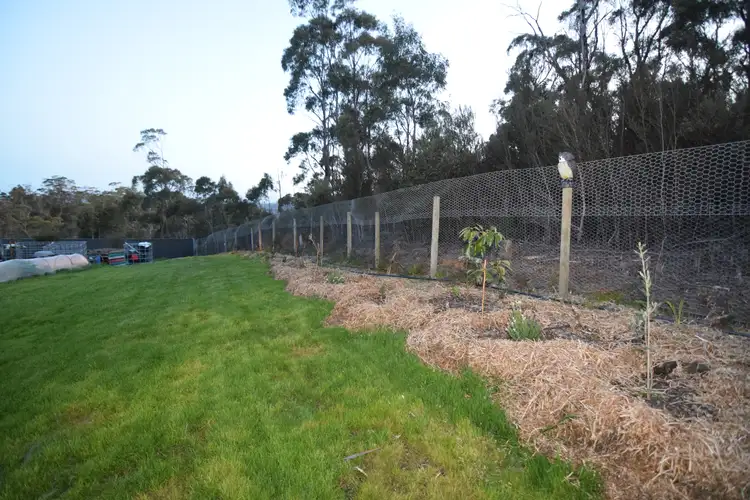 Sixth view of Homely land listing, 7 Arlington, Heybridge TAS 7316