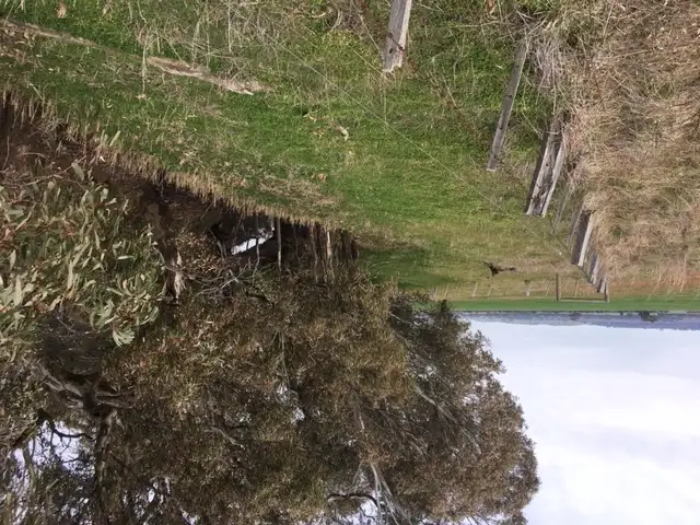 Fourth view of Homely rural property listing, Plain Road, Colbinabbin VIC 3559