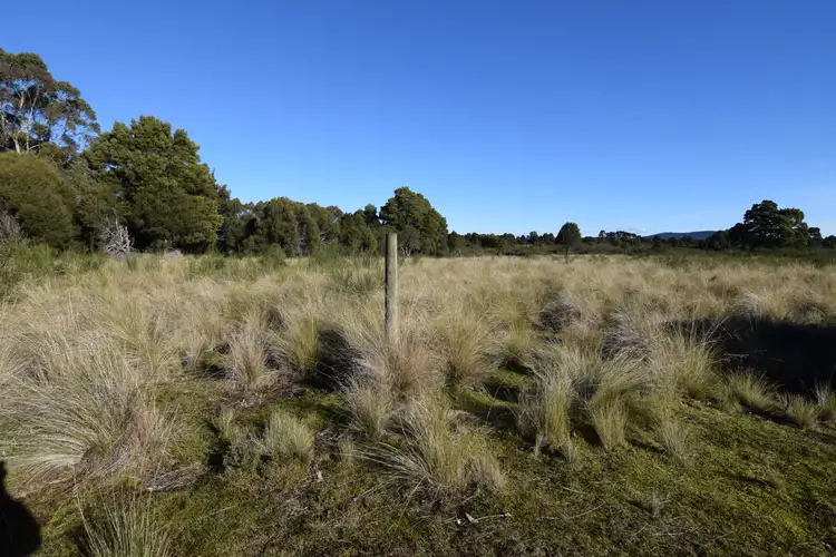 535 Waratah Road, Waratah TAS 7321