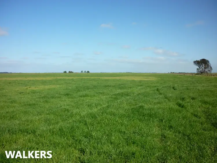 Seventh view of Homely rural property listing, 581 Mount Hope Road, Millicent SA 5280