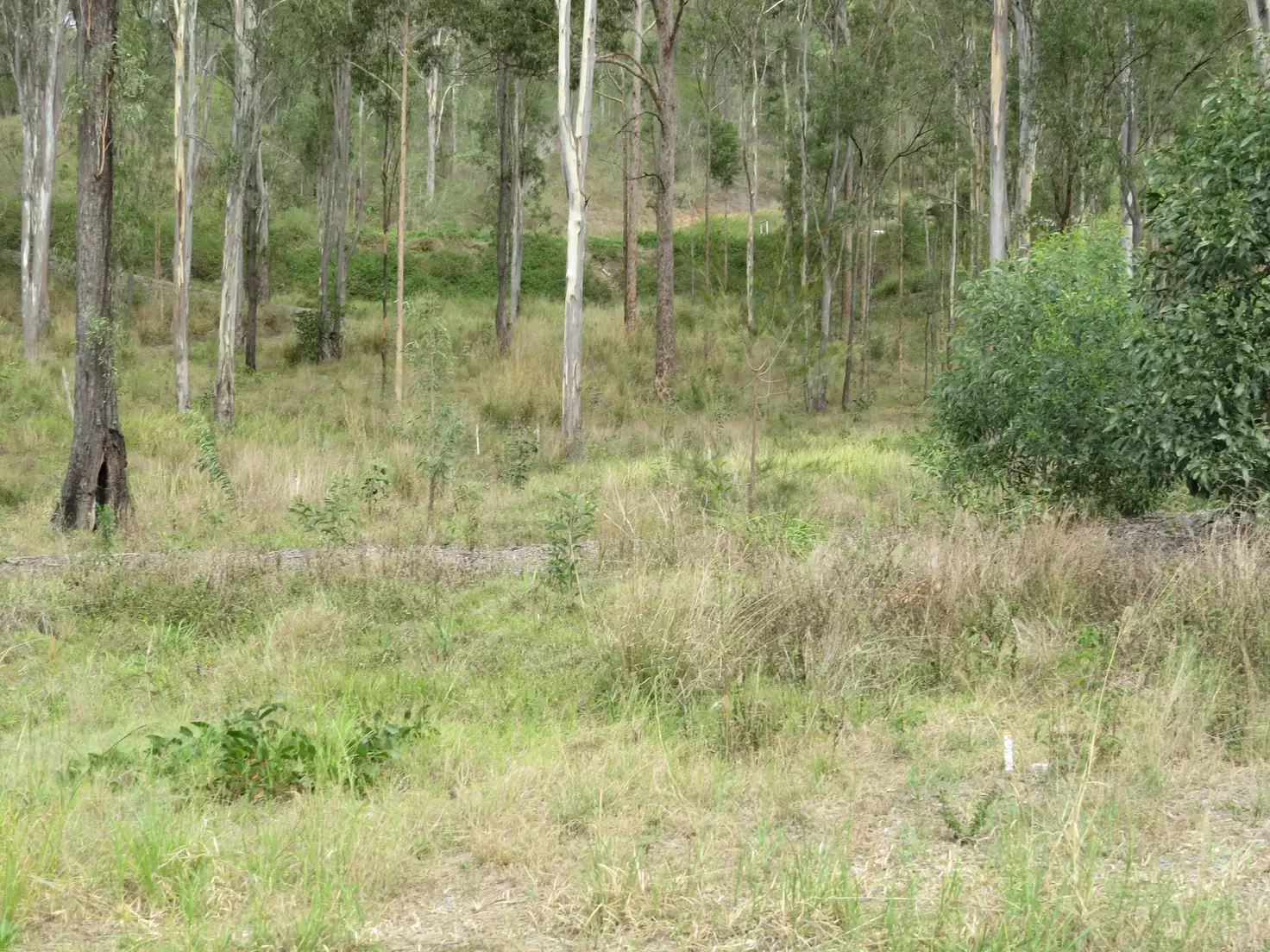Main view of Homely land listing, LOT 10/40 Inspiration Drive, Logan Village QLD 4207