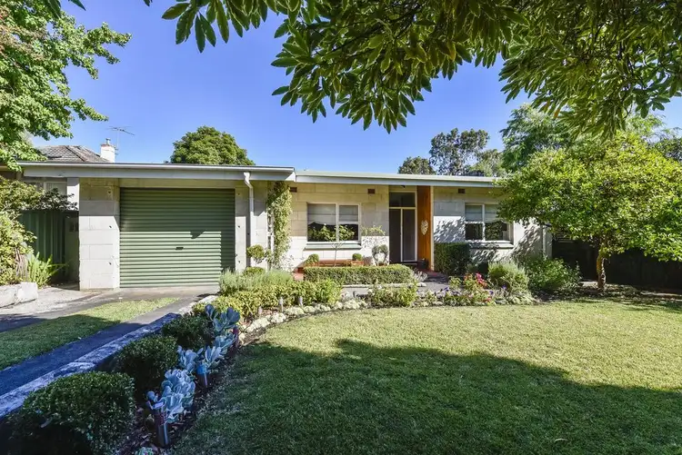 Main view of Homely house listing, 14 Renfrey Place, Mount Gambier SA 5290