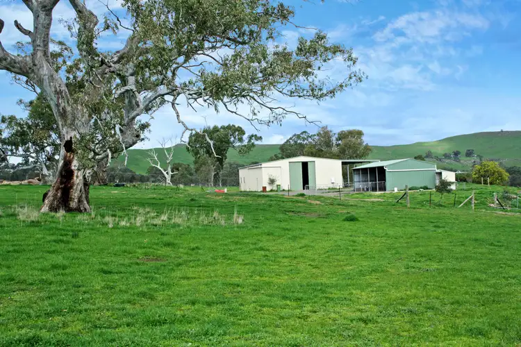 Second view of Homely rural property listing, 161 McLeod Lane, Mansfield VIC 3722