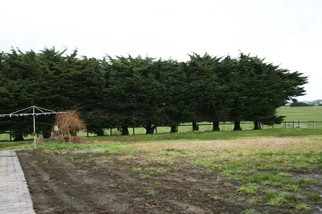 Sixth view of Homely rural property listing, 300 Osullivans Road, Wangoom VIC 3279