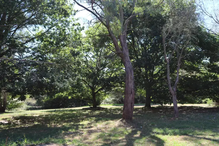 Second view of Homely house listing, 560 Blackwood Road, Newbury VIC 3458