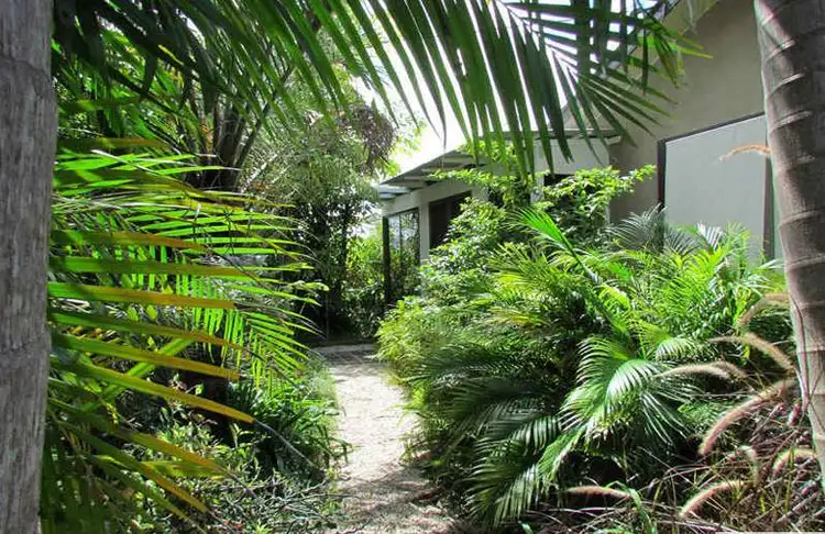 Second view of Homely house listing, 50 Argyle Street, Mullumbimby NSW 2482