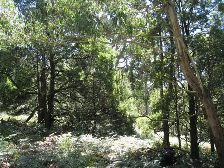 Second view of Homely land listing, 80 Beaches Lane, Newbury VIC 3458