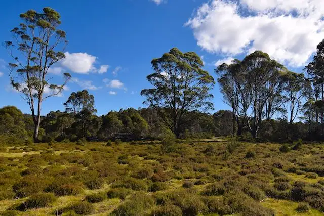 Fourth view of Homely land listing, LOT 01 Cradle Mountain Road, Moina TAS 7310