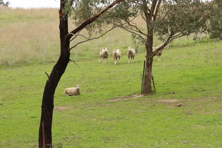 Sixth view of Homely rural property listing, 6719 Goulburn Valley Highway, Yea VIC 3717