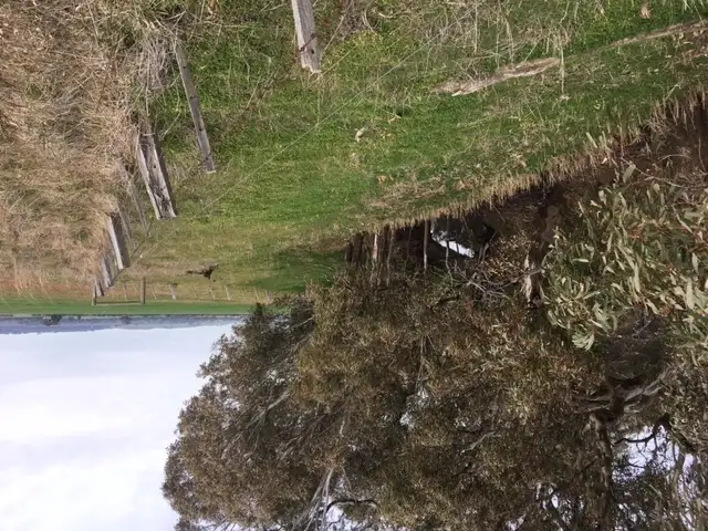 Seventh view of Homely rural property listing, Plain Road, Colbinabbin VIC 3559