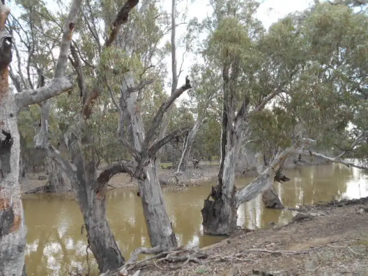 Second view of Homely rural property listing, 1 Swan Hill Road, Barham NSW 2732