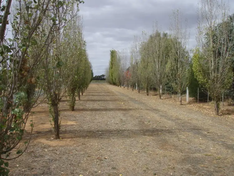 Third view of Homely land listing, 282 COHEN, Rochester VIC 3561