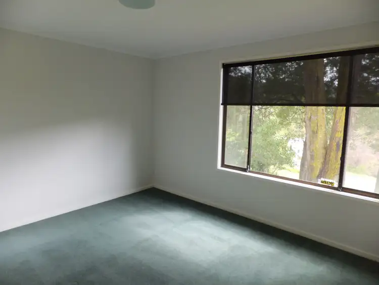 Fifth view of Homely house listing, 496 Neerim North Noojee Road Noojee, Noojee VIC 3833