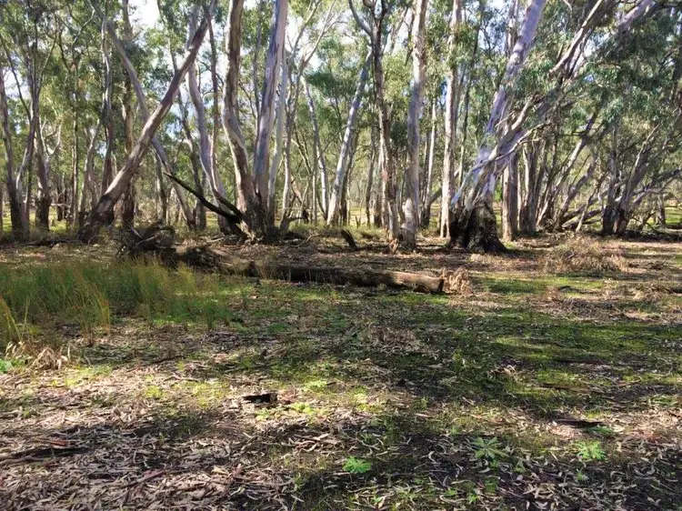 Fifth view of Homely land listing, LOT 1 Williamsons Road, Laanecoorie VIC 3463