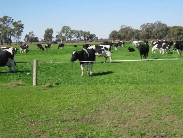 Second view of Homely rural property listing, 1039 Prairie Road, Lockington VIC 3563