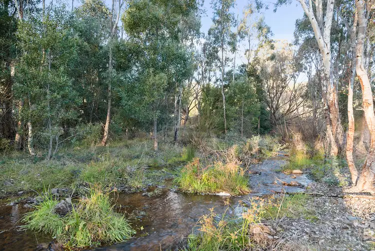 Second view of Homely rural property listing, 534 Dry Creek Road, Bonnie Doon VIC 3720