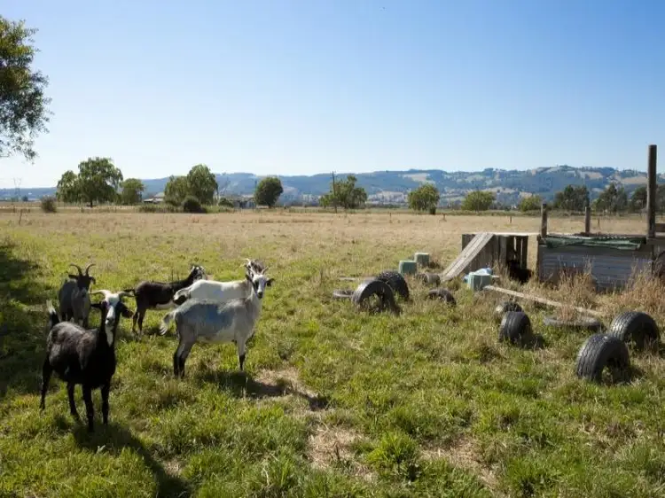 Fifth view of Homely rural property listing, 197 Willow Grove Road, Trafalgar VIC 3824