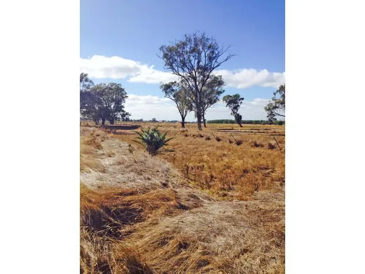 Second view of Homely rural property listing, Day Road, Tongala VIC 3621