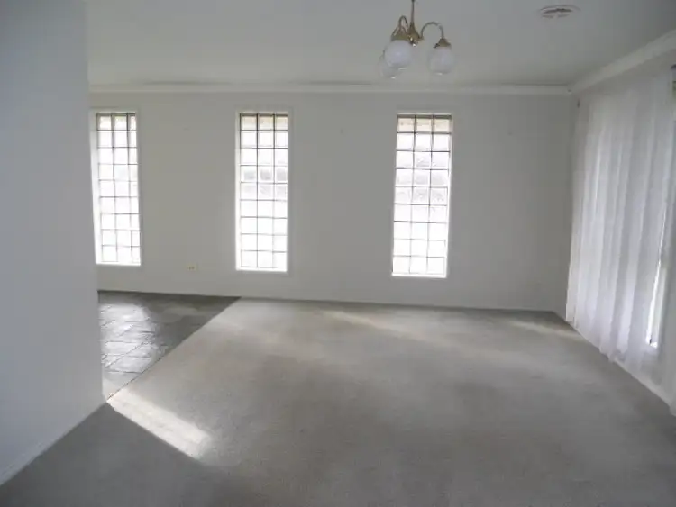 Seventh view of Homely house listing, 16 Jacaranda Court, Mount Gambier SA 5290