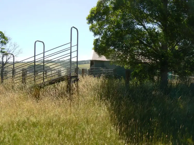 Fifth view of Homely rural property listing, 40 Dehnerts Track, Beech Forest VIC 3237